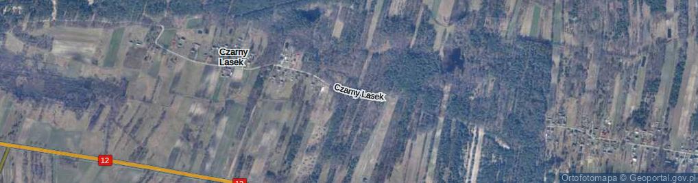 Zdjęcie satelitarne Czarny Lasek ul.